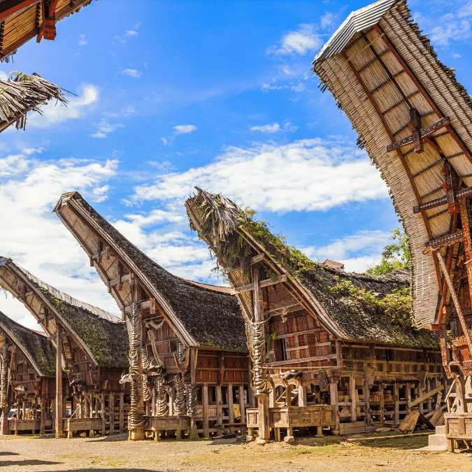 Maison traditionnelle et paysage vert à Sulawesi.